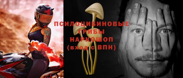 бошки Богданович