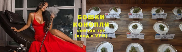 сатива Богородск