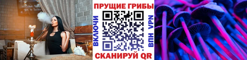 гидра онион  Щигры  Псилоцибиновые грибы GOLDEN TEACHER 