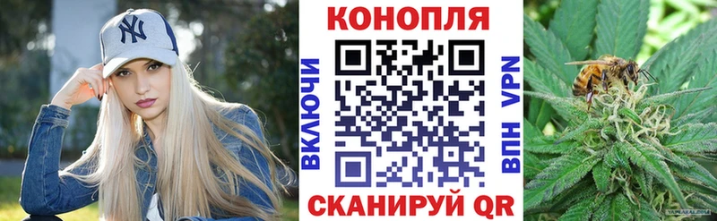Бошки Шишки планчик  купить наркотик  Щигры 
